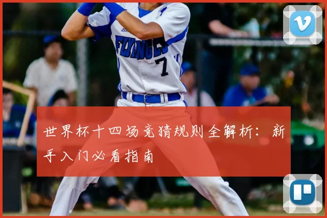 世界杯十四场竞猜规则全解析:新手入门必看指南