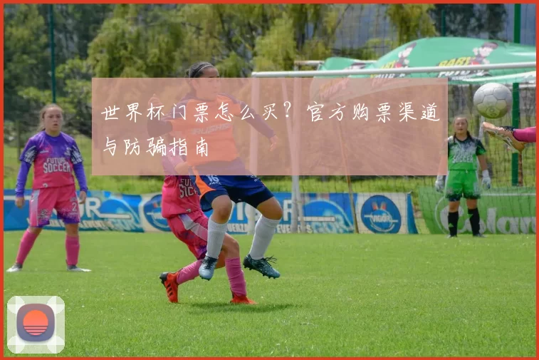 世界杯门票怎么买?官方购票渠道与防骗指南