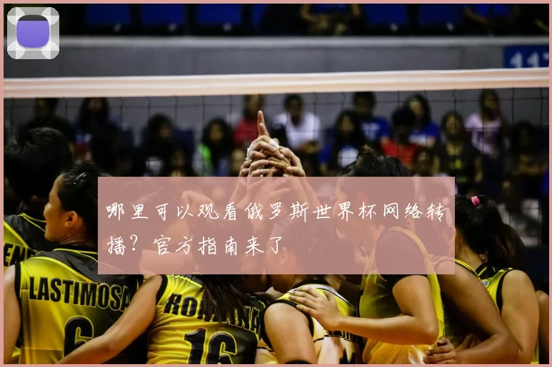 哪里可以观看俄罗斯世界杯网络转播？官方指南来了