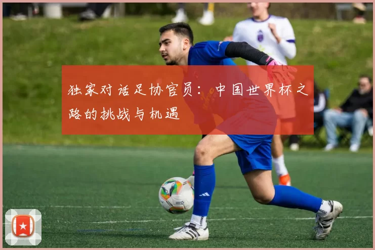 独家对话足协官员：中国世界杯之路的挑战与机遇
