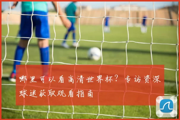 哪里可以看高清世界杯？专访资深球迷获取观看指南