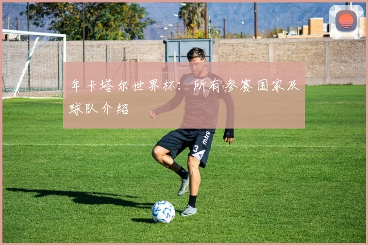 年卡塔尔世界杯：所有参赛国家及球队介绍