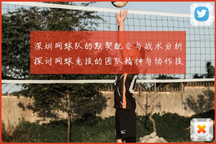 深圳网球队的默契配合与战术分析探讨网球竞技的团队精神与协作技巧