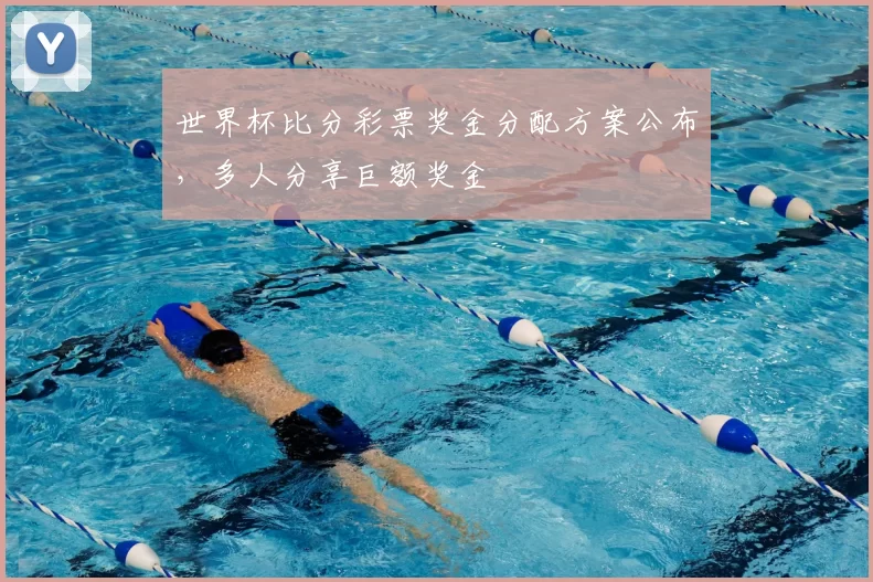 世界杯比分彩票奖金分配方案公布,多人分享巨额奖金